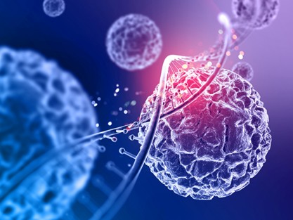 hormone therapy
